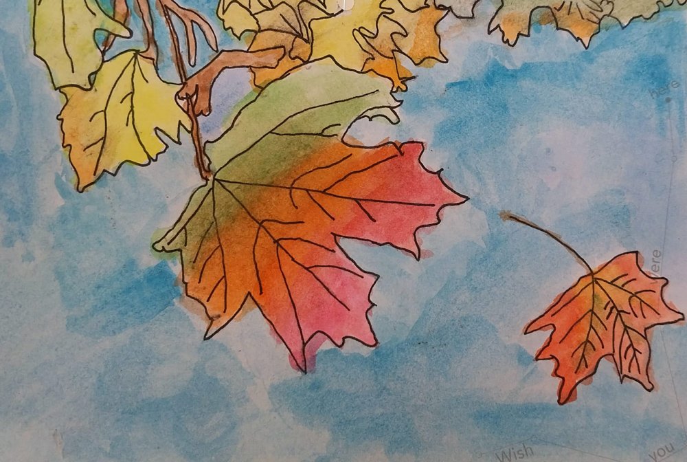 Ela-Shedman-Sinnitt_The-Last-Week_Youth-Winner